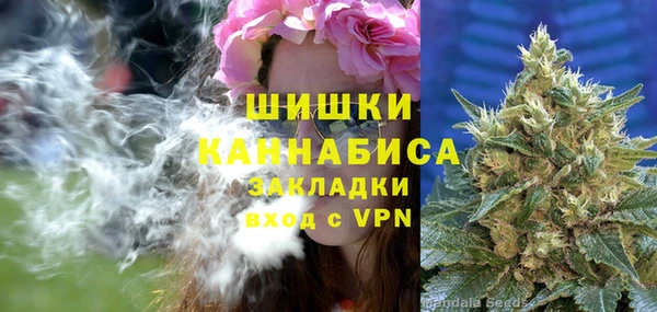 spice Аркадак