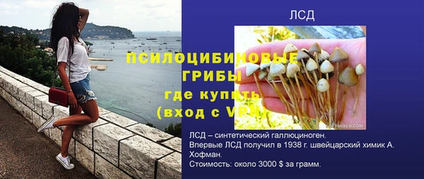 spice Аркадак