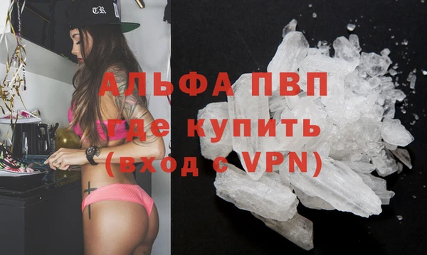 spice Аркадак