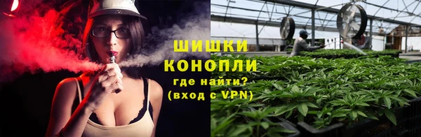 spice Аркадак