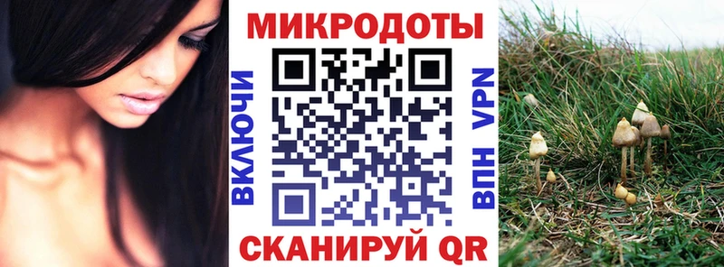 сколько стоит Бокситогорск blacksprut tor Галлюциногенные грибы Psilocybe